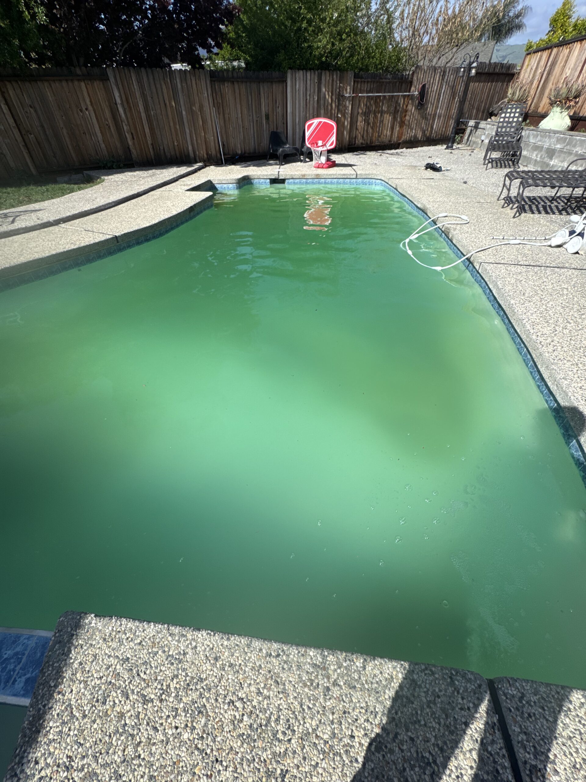 Green-to-clean pool recovery in Cave Creek, AZ