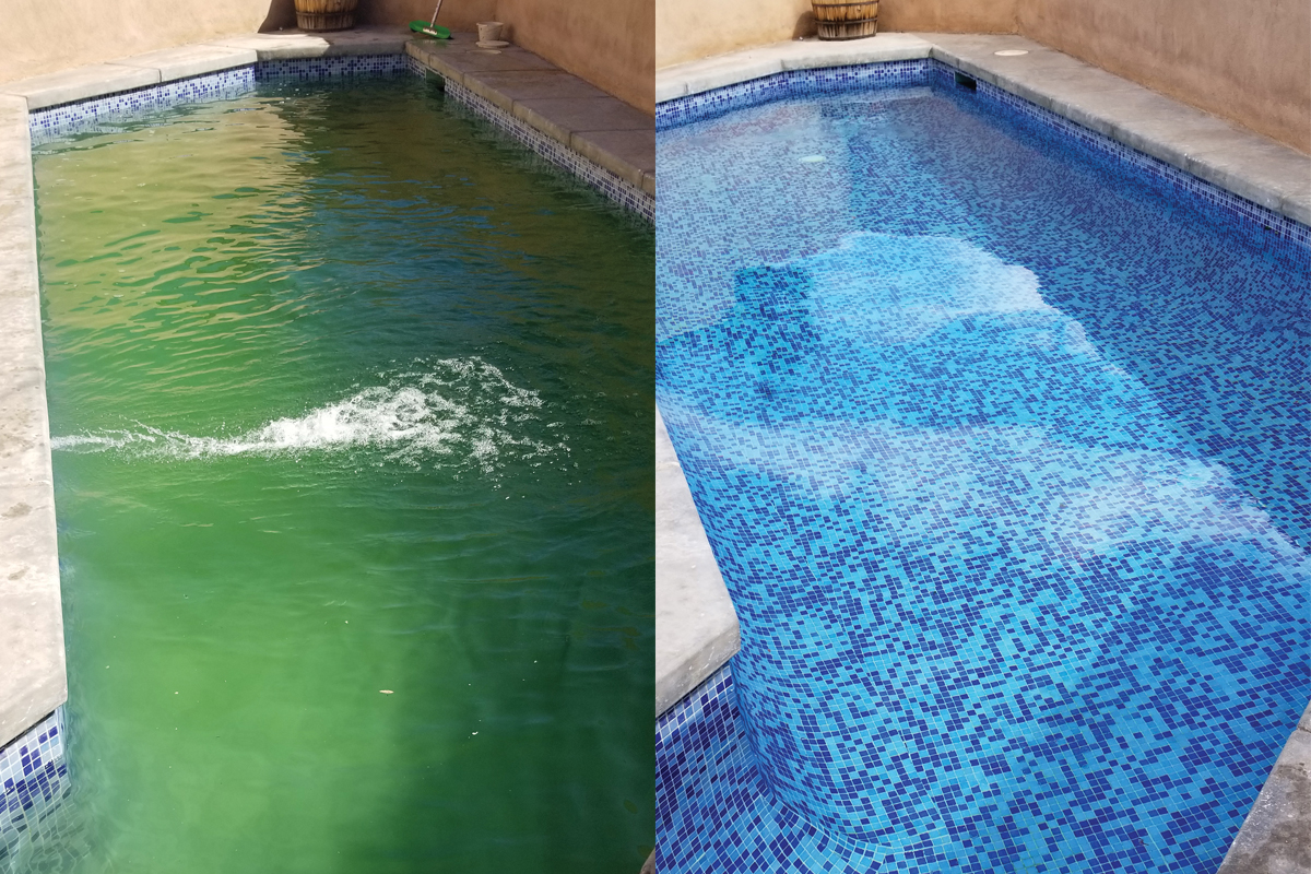 Green to Clean pool recovery service in Cave Creek, AZ removing algae from swimming pool